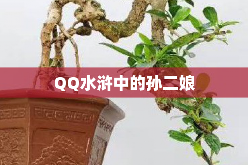 QQ水浒中的孙二娘