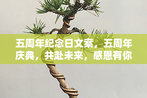 五周年纪念日文案,五周年庆典,共赴未来,感恩有你 五周年纪念日文案,五周年庆典,共赴未来,感恩有你
