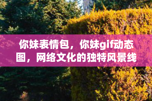 你妹表情包，你妹gif动态图，网络文化的独特风景线