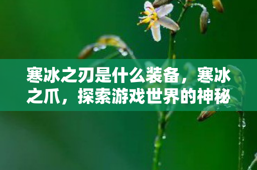 寒冰之刃是什么装备，寒冰之爪，探索游戏世界的神秘利器