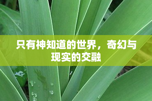 只有神知道的世界，奇幻与现实的交融