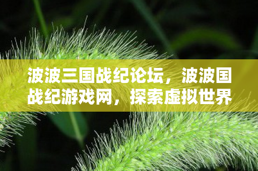 波波三国战纪论坛,波波国战纪游戏网,探索虚拟世界的无限可能 波波三国战纪论坛,波波国战纪游戏网,探索虚拟世界的无限可能