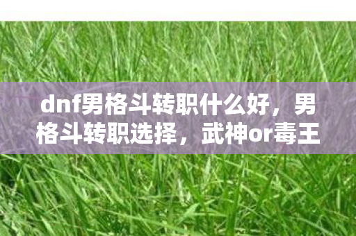 dnf男格斗转职什么好,男格斗转职选择,武神or毒王? dnf男格斗转职什么好,男格斗转职选择,武神or毒王?