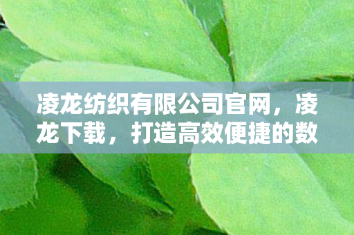 凌龙纺织有限公司官网,凌龙下载,打造高效便捷的数字资源获取平台 凌龙纺织有限公司官网,凌龙下载,打造高效便捷的数字资源获取平台
