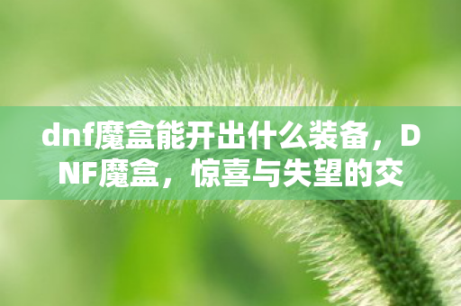 dnf魔盒能开出什么装备,DNF魔盒,惊喜与失望的交织 dnf魔盒能开出什么装备,DNF魔盒,惊喜与失望的交织
