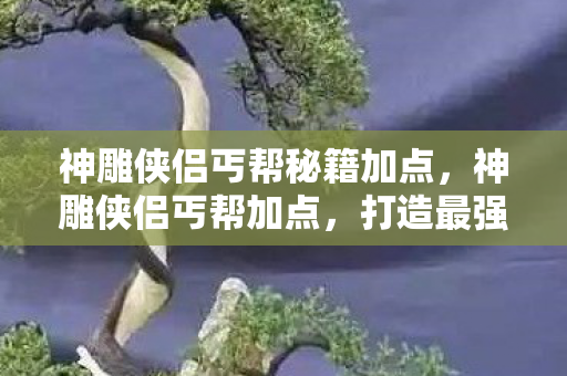 神雕侠侣丐帮秘籍加点,神雕侠侣丐帮加点,打造最强丐帮攻略 神雕侠侣丐帮秘籍加点,神雕侠侣丐帮加点,打造最强丐帮攻略