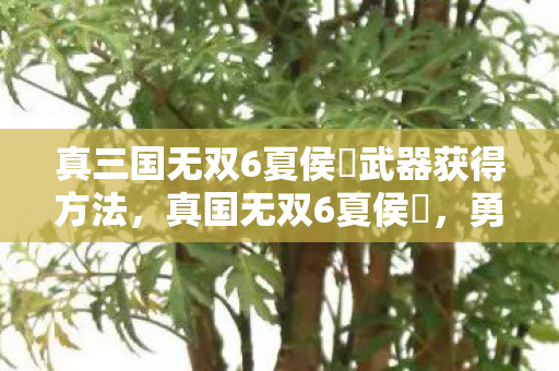 真三国无双6夏侯惇武器获得方法,真国无双6夏侯惇,勇武与智谋并重的三国豪杰 真三国无双6夏侯惇武器获得方法,真国无双6夏侯惇,勇武与智谋并重的三国豪杰