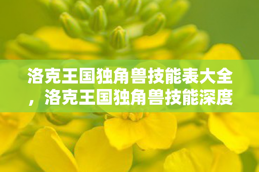 洛克王国独角兽技能表大全,洛克王国独角兽技能深度解析 洛克王国独角兽技能表大全,洛克王国独角兽技能深度解析