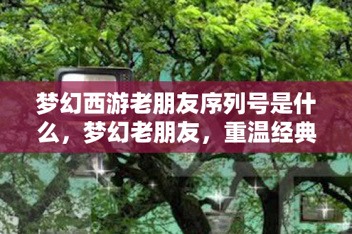 梦幻西游老朋友序列号是什么,梦幻老朋友,重温经典,再续前缘 梦幻西游老朋友序列号是什么,梦幻老朋友,重温经典,再续前缘