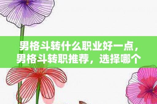 男格斗转什么职业好一点,男格斗转职推荐,选择哪个职业更出色? 男格斗转什么职业好一点,男格斗转职推荐,选择哪个职业更出色?