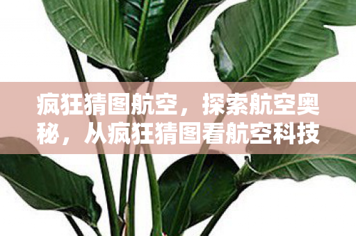 疯狂猜图航空,探索航空奥秘,从疯狂猜图看航空科技的无限可能 疯狂猜图航空,探索航空奥秘,从疯狂猜图看航空科技的无限可能