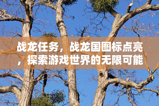 战龙任务,战龙国图标点亮,探索游戏世界的无限可能 战龙任务,战龙国图标点亮,探索游戏世界的无限可能