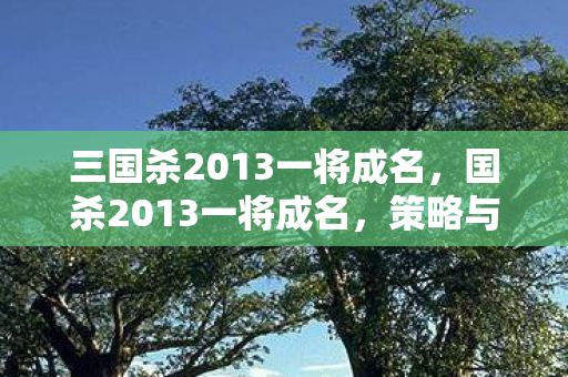 三国杀2013一将成名,国杀2013一将成名,策略与智慧的碰撞 三国杀2013一将成名,国杀2013一将成名,策略与智慧的碰撞