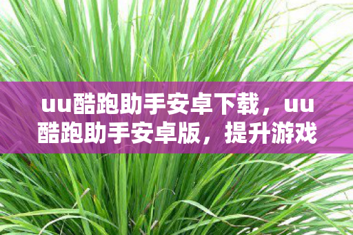 uu酷跑助手安卓下载,uu酷跑助手安卓版,提升游戏体验的必备神器 uu酷跑助手安卓下载,uu酷跑助手安卓版,提升游戏体验的必备神器