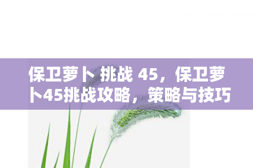 保卫萝卜 挑战 45，保卫萝卜45挑战攻略，策略与技巧