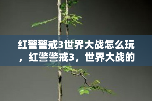 红警警戒3世界大战怎么玩，红警警戒3，世界大战的震撼与反思