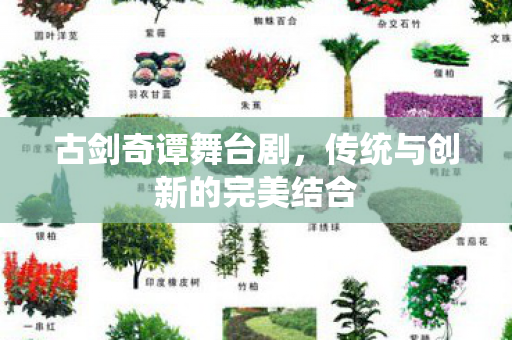 古剑奇谭舞台剧,传统与创新的完美结合 古剑奇谭舞台剧,传统与创新的完美结合