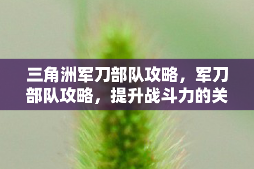 三角洲军刀部队攻略,军刀部队攻略,提升战斗力的关键策略 三角洲军刀部队攻略,军刀部队攻略,提升战斗力的关键策略