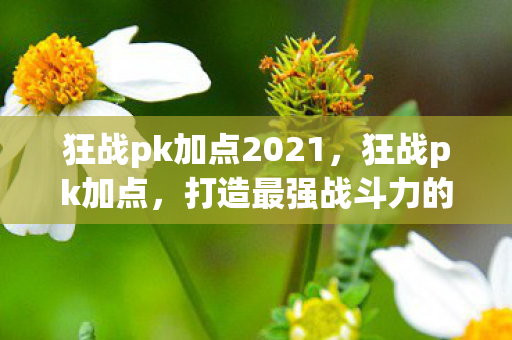 狂战pk加点2021,狂战pk加点,打造最强战斗力的加点策略 狂战pk加点2021,狂战pk加点,打造最强战斗力的加点策略