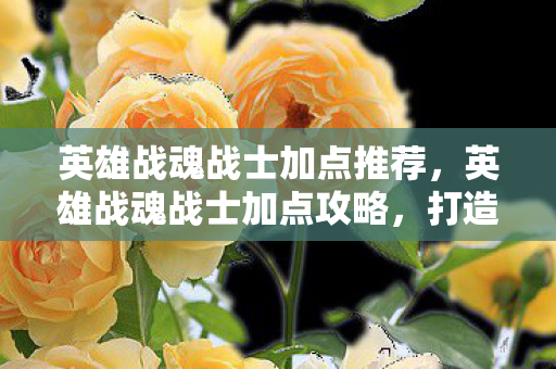 英雄战魂战士加点推荐,英雄战魂战士加点攻略,打造最强战士 英雄战魂战士加点推荐,英雄战魂战士加点攻略,打造最强战士