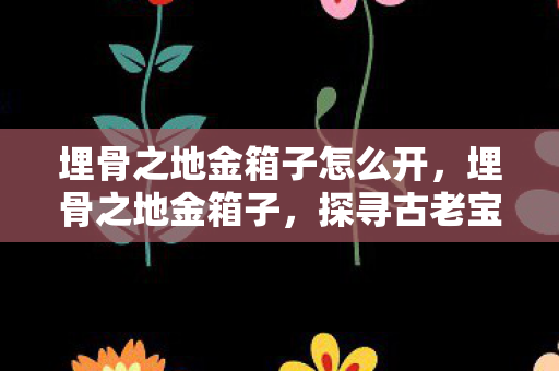 埋骨之地金箱子怎么开,埋骨之地金箱子,探寻古老宝藏的传奇之旅 埋骨之地金箱子怎么开,埋骨之地金箱子,探寻古老宝藏的传奇之旅