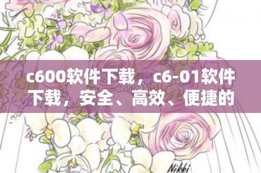 c600软件下载,c6-01软件下载,安全、高效、便捷的软件获取方式 c600软件下载,c6-01软件下载,安全、高效、便捷的软件获取方式