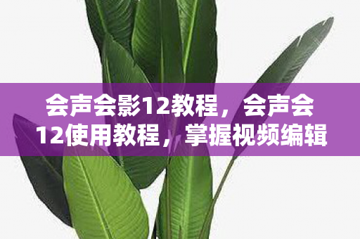 会声会影12教程,会声会12使用教程,掌握视频编辑的利器 会声会影12教程,会声会12使用教程,掌握视频编辑的利器