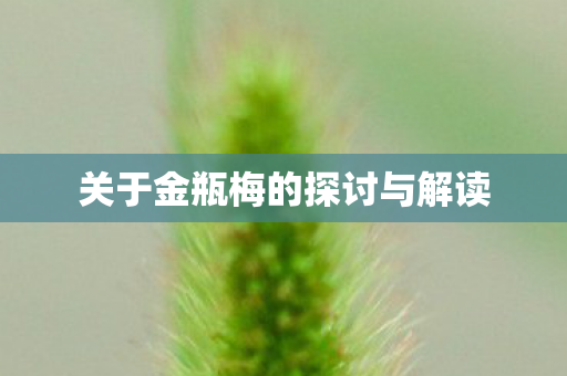 关于金瓶梅的探讨与解读 关于金瓶梅的探讨与解读