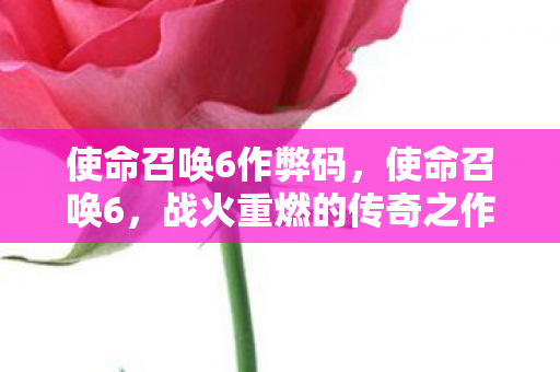 使命召唤6作弊码,使命召唤6,战火重燃的传奇之作 使命召唤6作弊码,使命召唤6,战火重燃的传奇之作