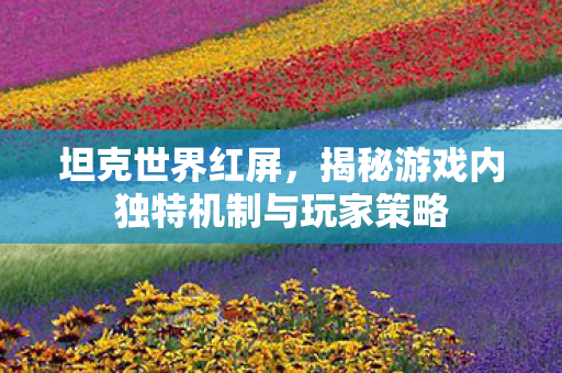 坦克世界红屏，揭秘游戏内独特机制与玩家策略