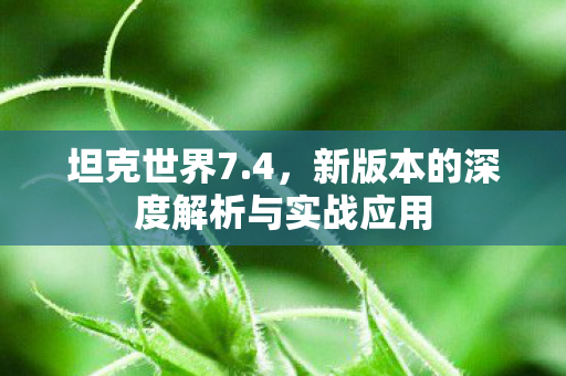坦克世界7.4,新版本的深度解析与实战应用 坦克世界7.4,新版本的深度解析与实战应用