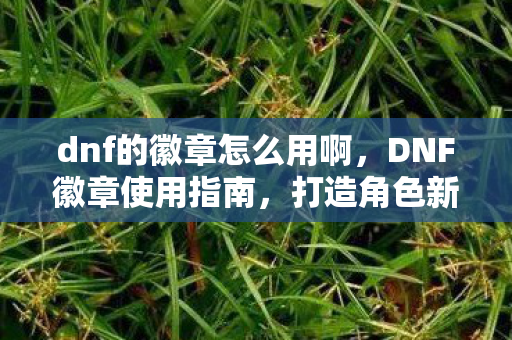 dnf的徽章怎么用啊,DNF徽章使用指南,打造角色新风貌 dnf的徽章怎么用啊,DNF徽章使用指南,打造角色新风貌