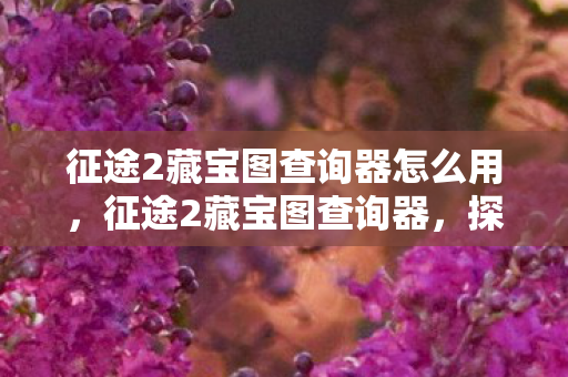 征途2藏宝图查询器怎么用，征途2藏宝图查询器，探索未知世界的神秘宝藏