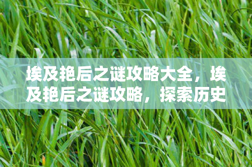 埃及艳后之谜攻略大全,埃及艳后之谜攻略,探索历史与传说的神秘之旅 埃及艳后之谜攻略大全,埃及艳后之谜攻略,探索历史与传说的神秘之旅