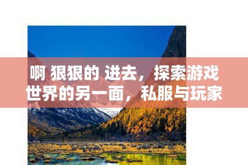 啊 狠狠的 进去,探索游戏世界的另一面,私服与玩家的独特互动 啊 狠狠的 进去,探索游戏世界的另一面,私服与玩家的独特互动