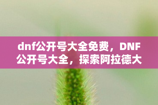dnf公开号大全免费,DNF公开号大全,探索阿拉德大陆的勇士之旅 dnf公开号大全免费,DNF公开号大全,探索阿拉德大陆的勇士之旅