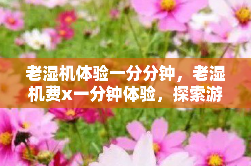 老湿机体验一分分钟,老湿机费x一分钟体验,探索游戏世界的无限可能 老湿机体验一分分钟,老湿机费x一分钟体验,探索游戏世界的无限可能