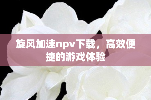 旋风加速npv下载，高效便捷的游戏体验