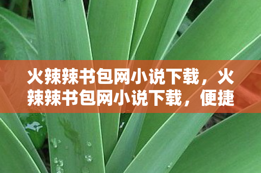 火辣辣书包网小说下载，火辣辣书包网小说下载，便捷阅读的新选择