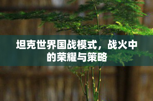 坦克世界国战模式,战火中的荣耀与策略 坦克世界国战模式,战火中的荣耀与策略