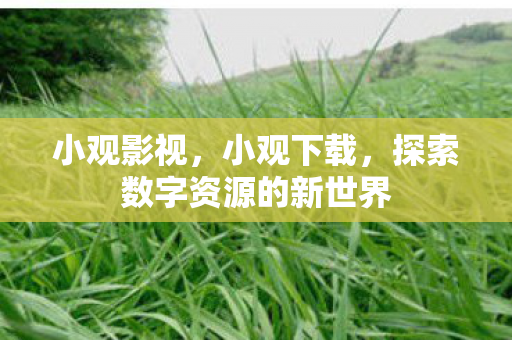 小观影视,小观下载,探索数字资源的新世界 小观影视,小观下载,探索数字资源的新世界