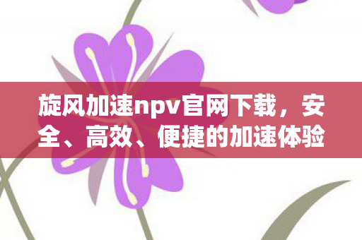旋风加速npv官网下载,安全、高效、便捷的加速体验 旋风加速npv官网下载,安全、高效、便捷的加速体验