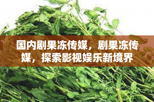国内剧果冻传媒,剧果冻传媒,探索影视娱乐新境界 国内剧果冻传媒,剧果冻传媒,探索影视娱乐新境界