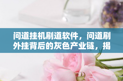 问道挂机刷道软件,问道刷外挂背后的灰色产业链,揭秘游戏外挂的非法交易 问道挂机刷道软件,问道刷外挂背后的灰色产业链,揭秘游戏外挂的非法交易