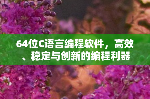 64位C语言编程软件,高效、稳定与创新的编程利器 64位C语言编程软件,高效、稳定与创新的编程利器