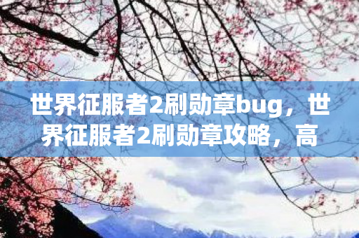 世界征服者2刷勋章bug，世界征服者2刷勋章攻略，高效获取荣耀徽章的实战指南