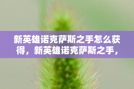新英雄诺克萨斯之手怎么获得,新英雄诺克萨斯之手,重塑战场格局的利刃 新英雄诺克萨斯之手怎么获得,新英雄诺克萨斯之手,重塑战场格局的利刃
