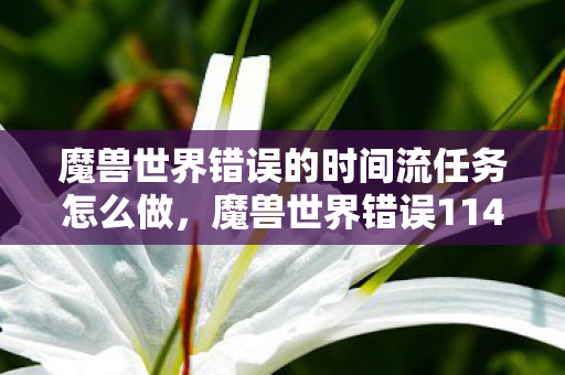 魔兽世界错误的时间流任务怎么做,魔兽世界错误114,深度解析与解决方案 魔兽世界错误的时间流任务怎么做,魔兽世界错误114,深度解析与解决方案