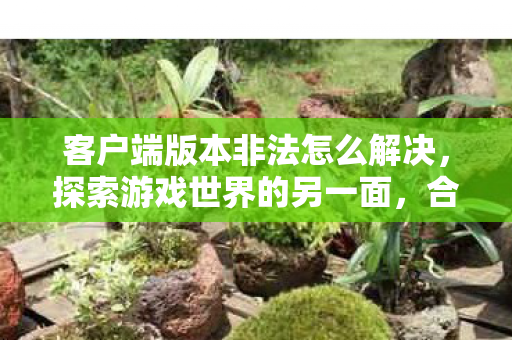 客户端版本非法怎么解决,探索游戏世界的另一面,合法合规的客户端版本选择 客户端版本非法怎么解决,探索游戏世界的另一面,合法合规的客户端版本选择