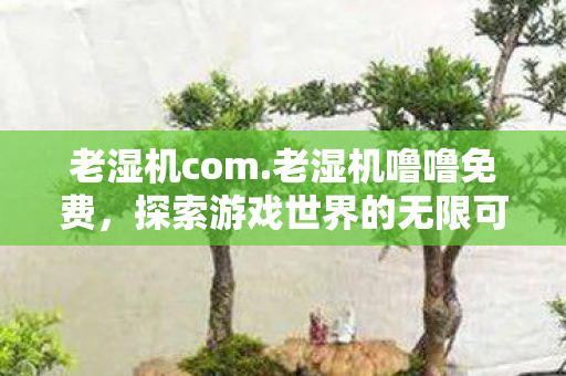 老湿机com.老湿机噜噜免费,探索游戏世界的无限可能 老湿机com.老湿机噜噜免费,探索游戏世界的无限可能